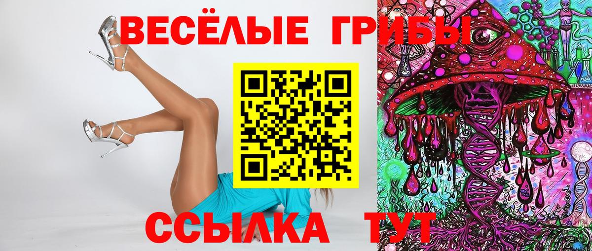 Псилоцибиновые грибы Psilocybine cubensis Ливны