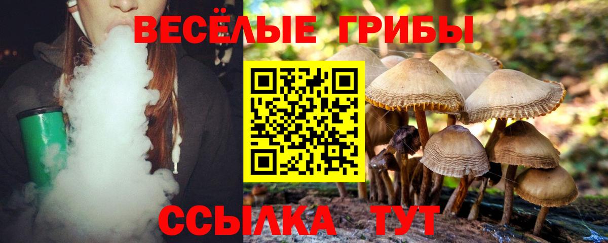 Ливны  Псилоцибиновые грибы мухоморы  Вход с VPN 